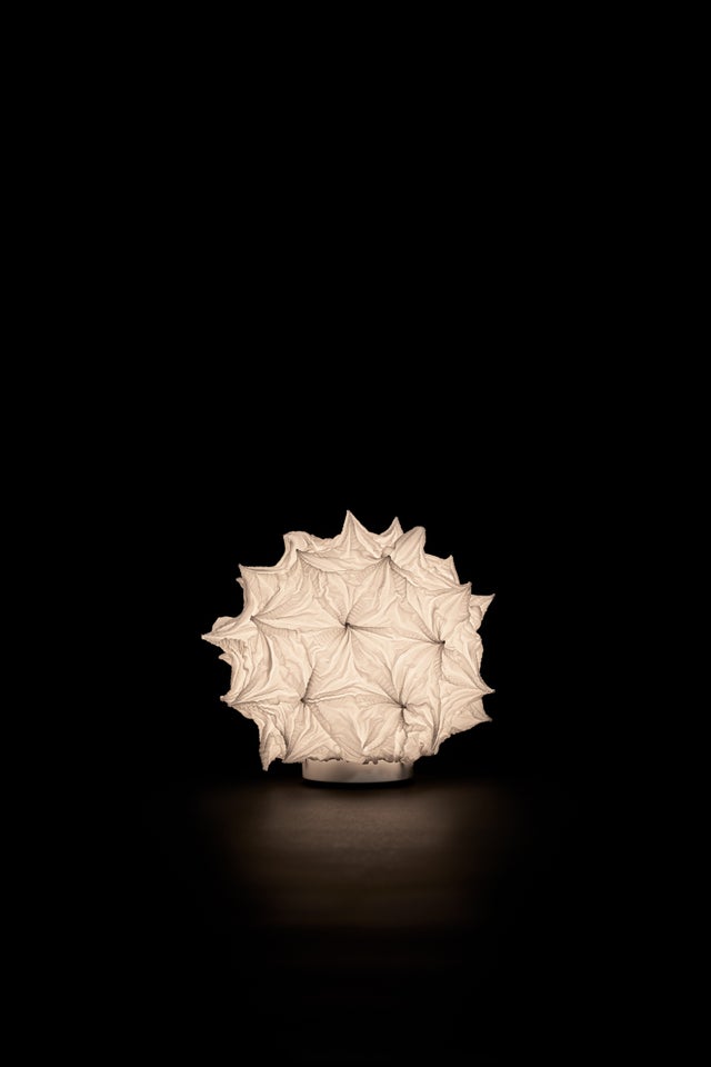 Lighting | suzusan オンラインストア