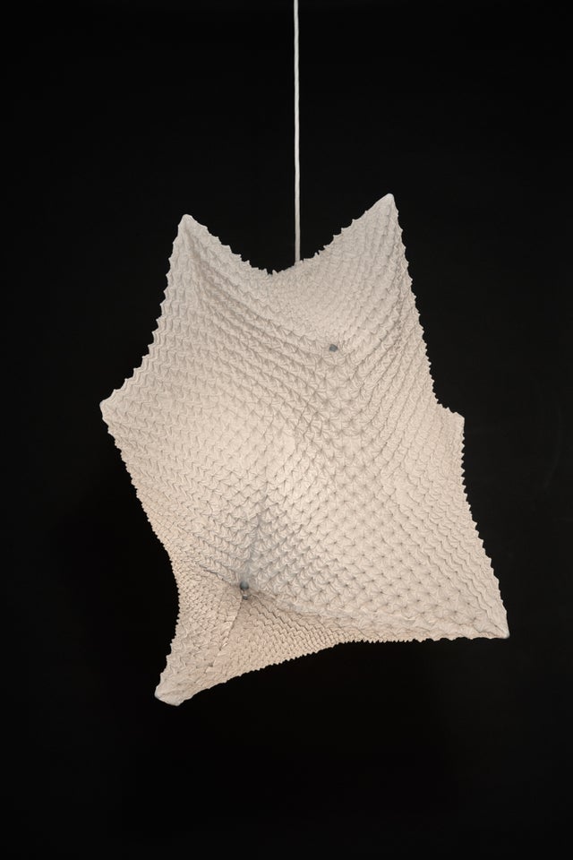 Lighting | suzusan オンラインストア