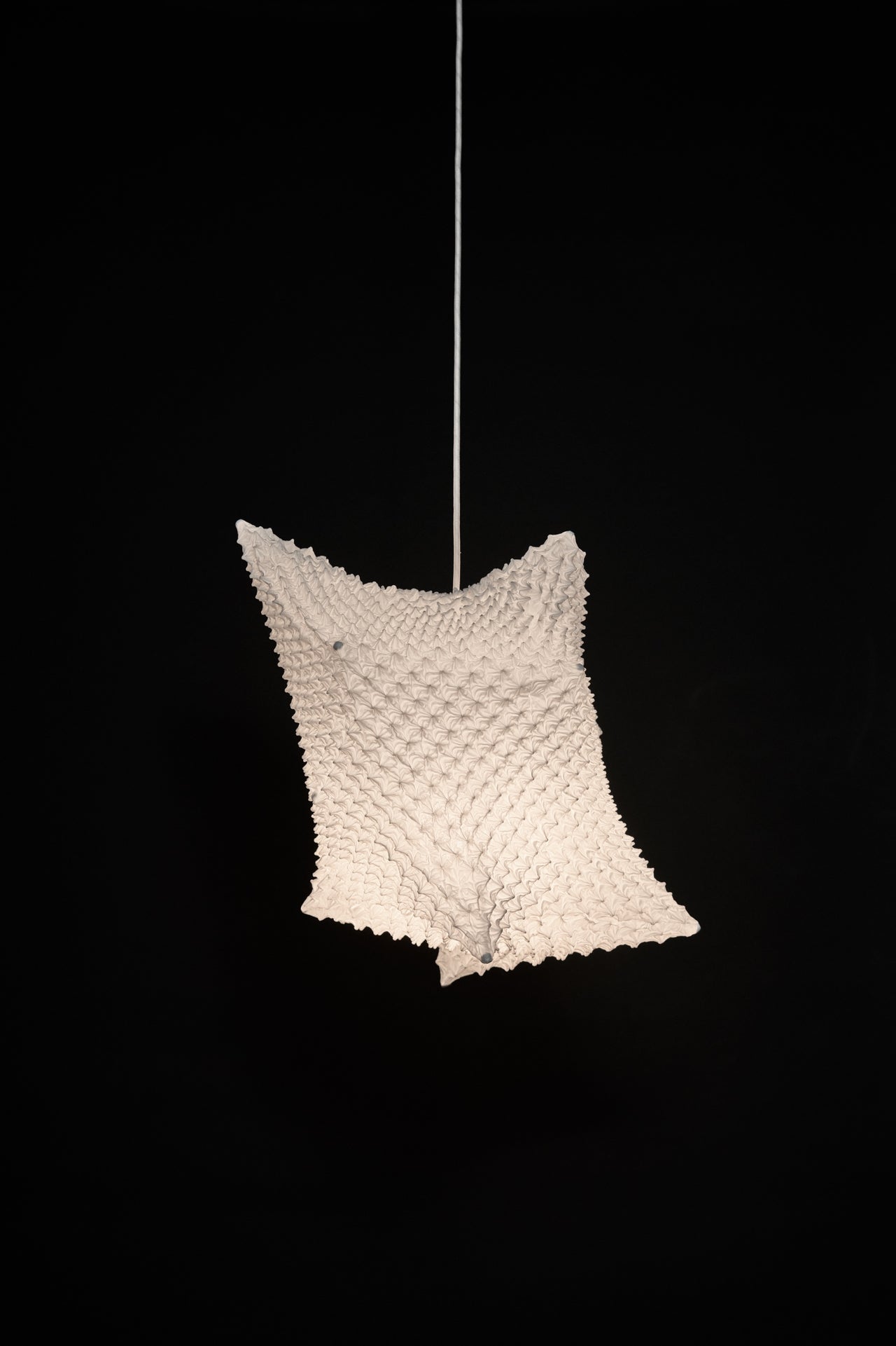 Lighting | suzusan オンラインストア