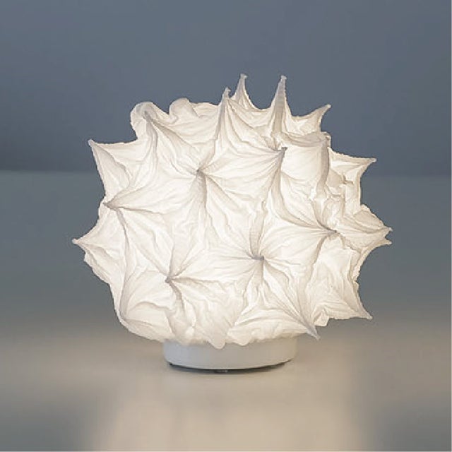 Luminaires | suzusan オンラインストア